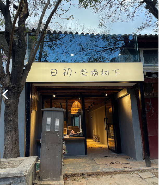 日初·叁椿树下的图标