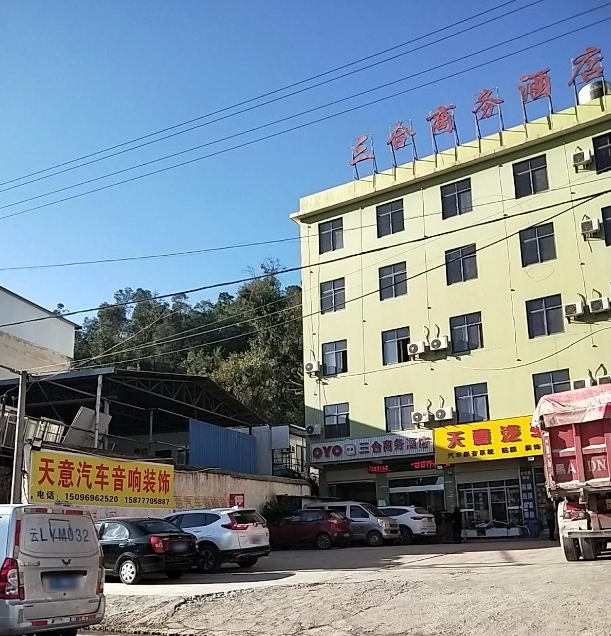 天意汽车装饰用品的图标